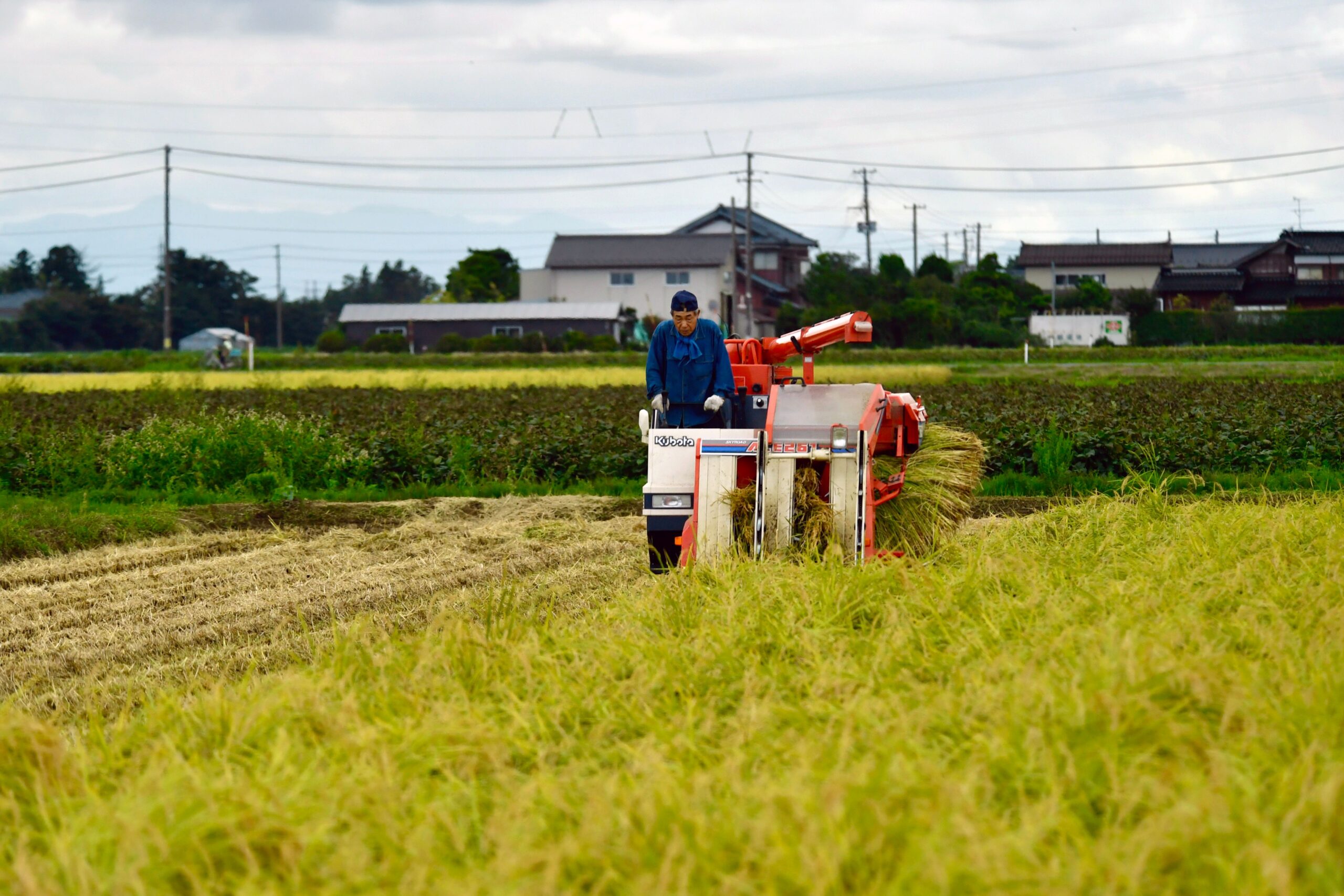 Agriculture