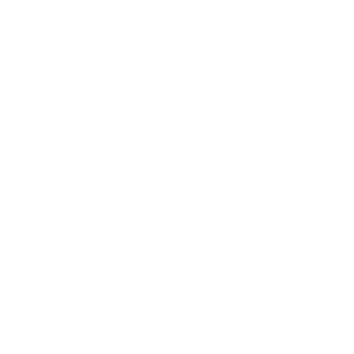Group Subsidiary Oversight