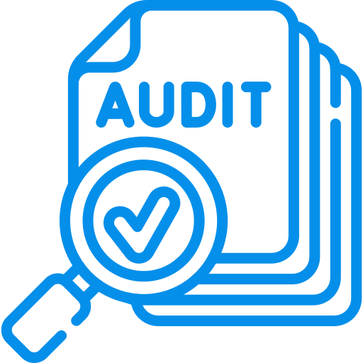 Statutory Audits & Reporting